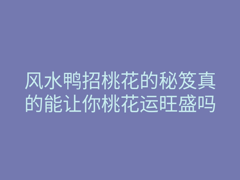 风水鸭招桃花的秘笈真的能让你桃花运旺盛吗