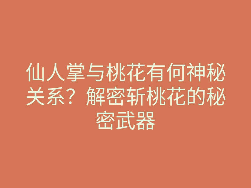 仙人掌与桃花有何神秘关系?解密斩桃花的秘密武器