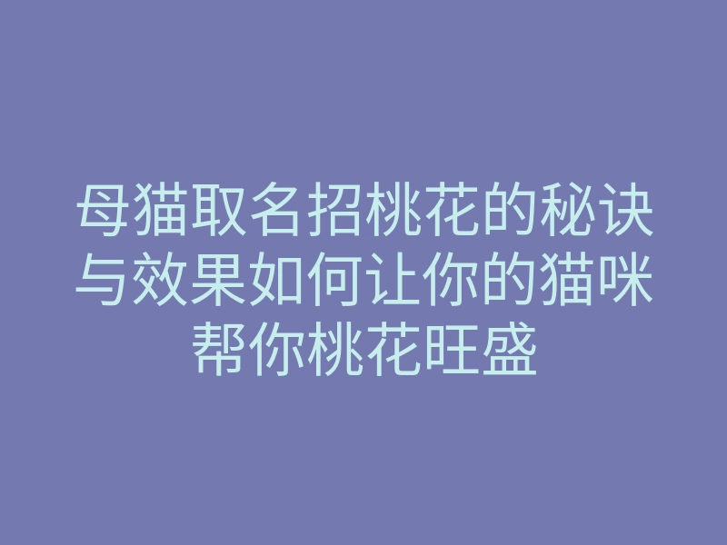 母猫取名招桃花的秘诀与效果如何让你的猫咪帮你桃花旺盛