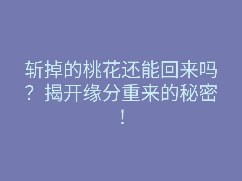 斩掉的桃花还能回来吗？揭开缘分重来的秘密！