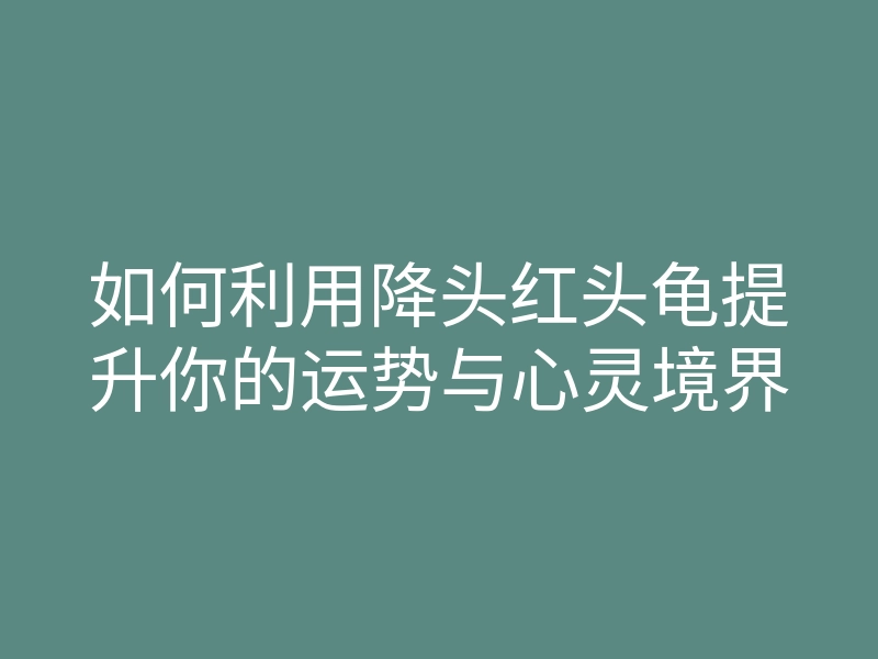 如何利用降头红头龟提升你的运势与心灵境界