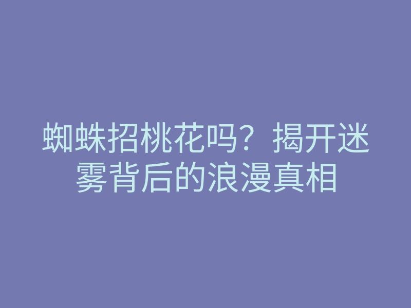 蜘蛛招桃花吗?揭开迷雾背后的浪漫真相