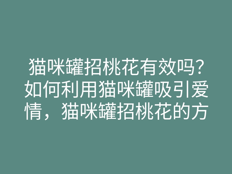 猫咪罐招桃花有效吗?如何利用猫咪罐吸引爱情,猫咪罐招桃花的方法与技巧