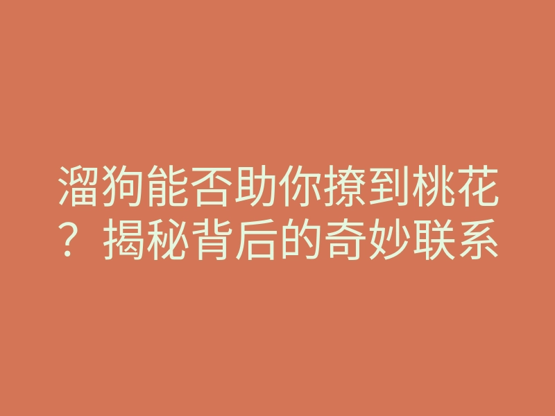 溜狗能否助你撩到桃花？揭秘背后的奇妙联系
