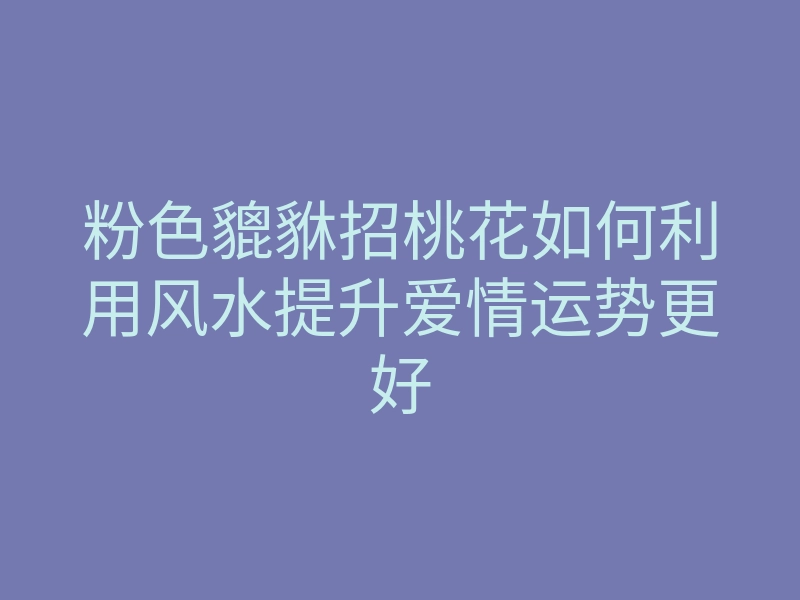 粉色貔貅招桃花如何利用风水提升爱情运势更好