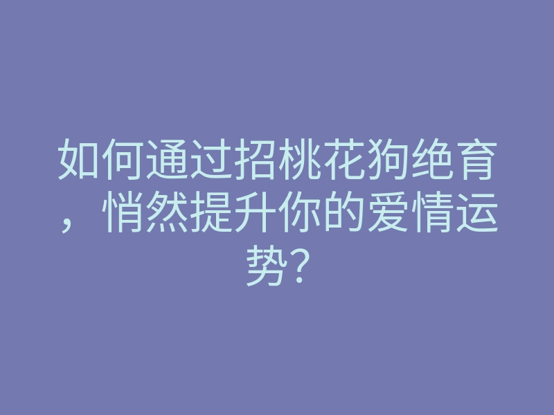 如何通过招桃花狗绝育,悄然提升你的爱情运势?