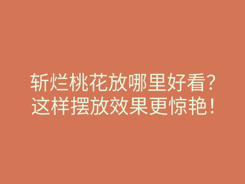 斩烂桃花放哪里好看?这样摆放效果更惊艳!