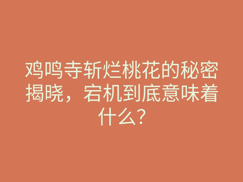 鸡鸣寺斩烂桃花的秘密揭晓，宕机到底意味着什么？