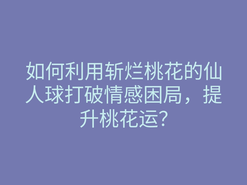 如何利用斩烂桃花的仙人球打破情感困局,提升桃花运?