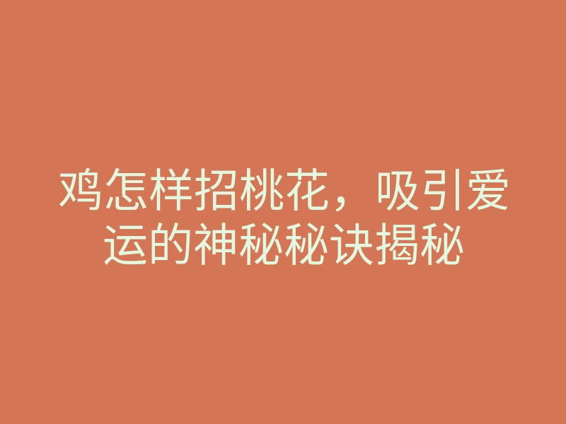 鸡怎样招桃花,吸引爱运的神秘秘诀揭秘