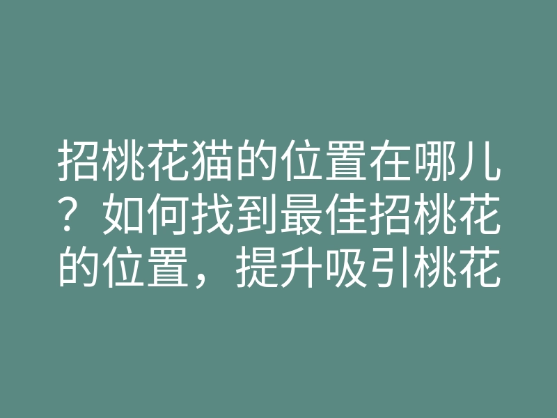 招桃花猫的位置在哪儿?如何找到最佳招桃花的位置,提升吸引桃花运的方法