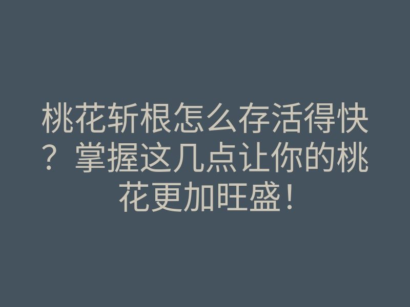 桃花斩根怎么存活得快？掌握这几点让你的桃花更加旺盛！
