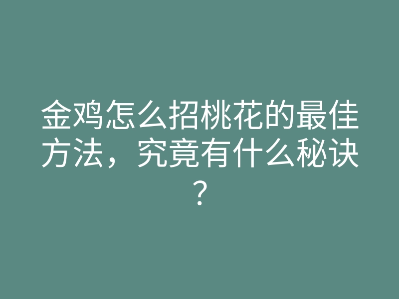 金鸡怎么招桃花的最佳方法,究竟有什么秘诀?
