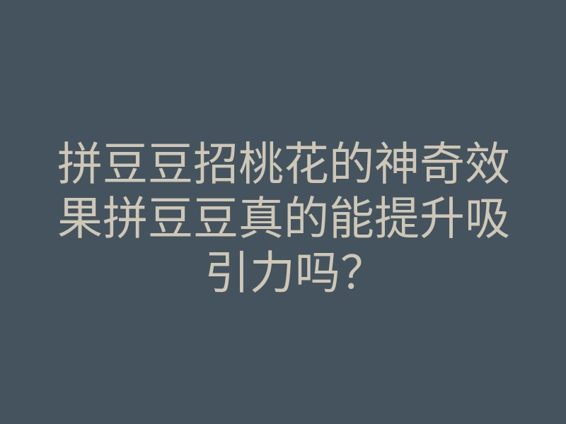 拼豆豆招桃花的神奇效果拼豆豆真的能提升吸引力吗?