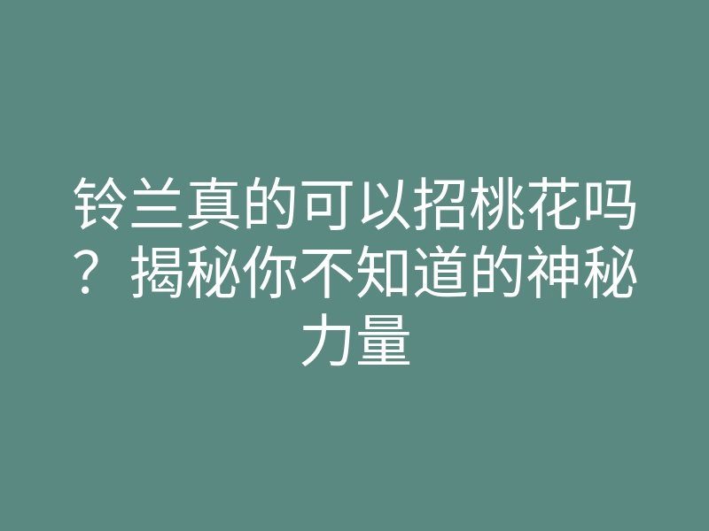 铃兰真的可以招桃花吗？揭秘你不知道的神秘力量