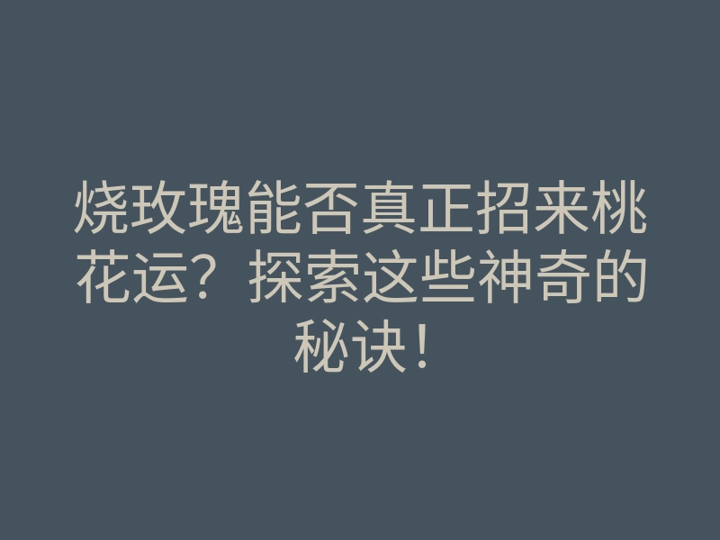 烧玫瑰能否真正招来桃花运?探索这些神奇的秘诀!