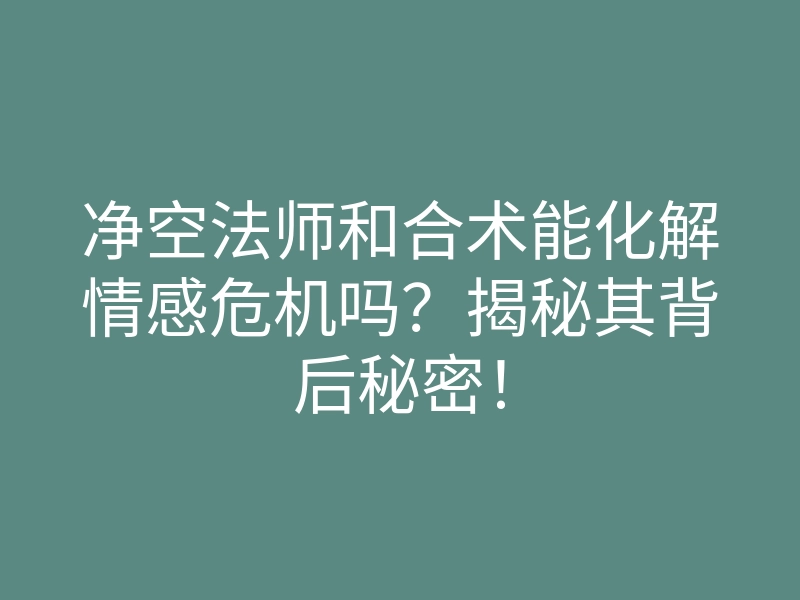 净空法师和合术能化解情感危机吗?揭秘其背后秘密!