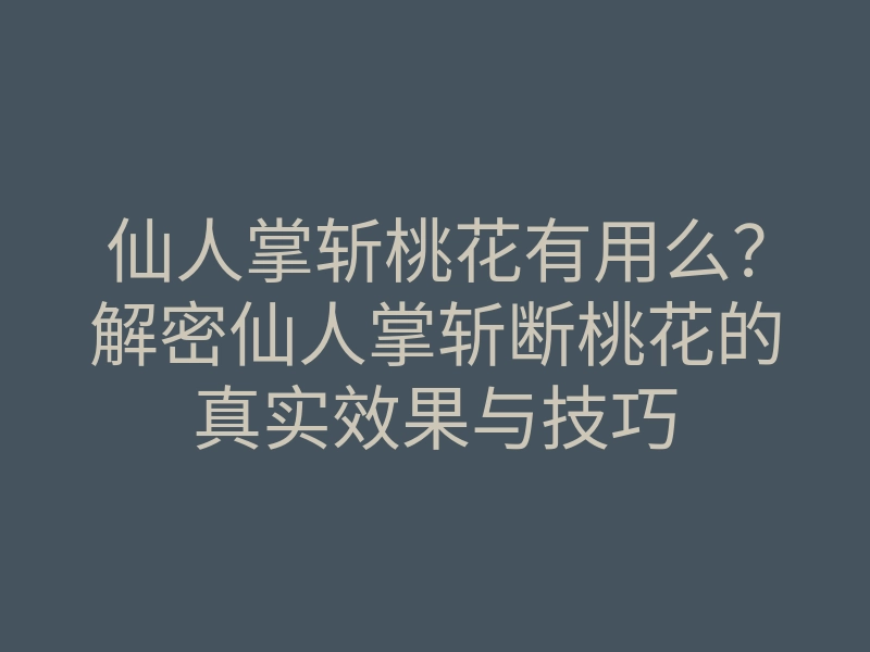 仙人掌斩桃花有用么?解密仙人掌斩断桃花的真实效果与技巧