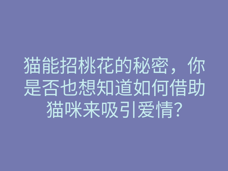 猫能招桃花的秘密,你是否也想知道如何借助猫咪来吸引爱情?