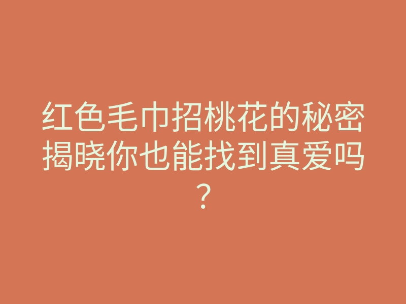 红色毛巾招桃花的秘密揭晓你也能找到真爱吗?