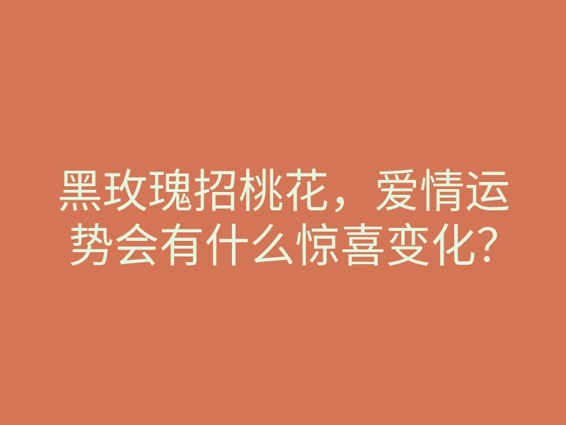 黑玫瑰招桃花,爱情运势会有什么惊喜变化?