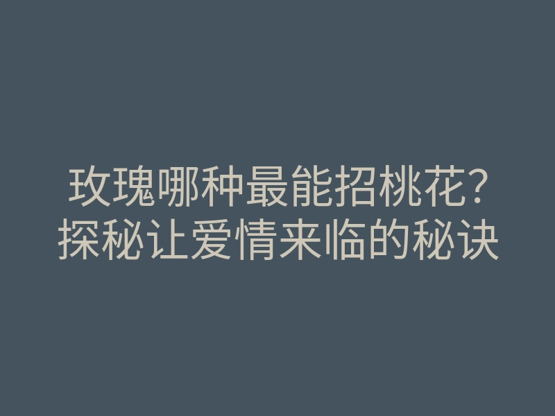 玫瑰哪种最能招桃花?探秘让爱情来临的秘诀