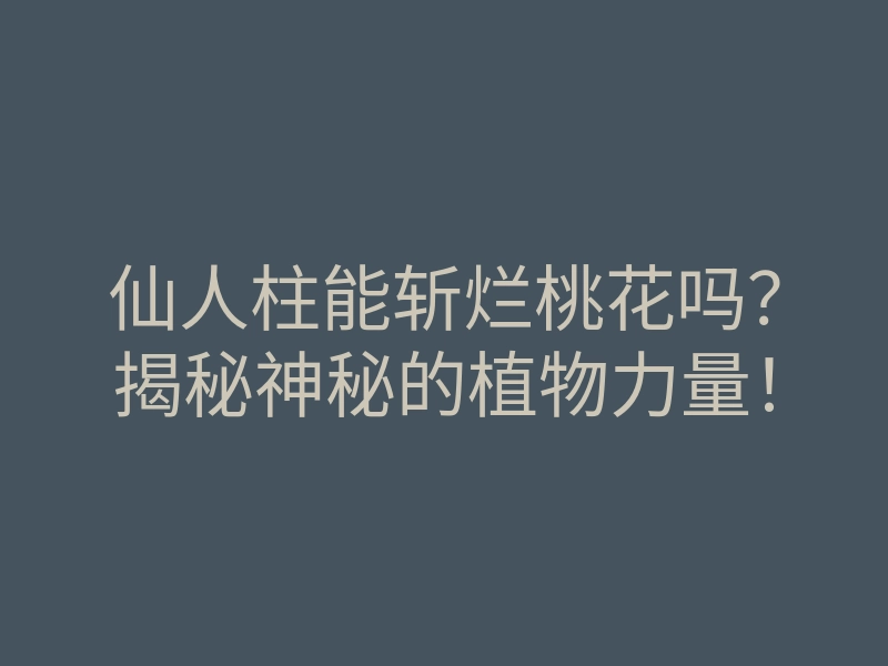 仙人柱能斩烂桃花吗?揭秘神秘的植物力量!