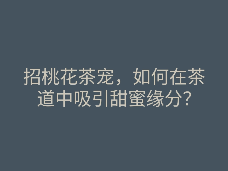 招桃花茶宠,如何在茶道中吸引甜蜜缘分?