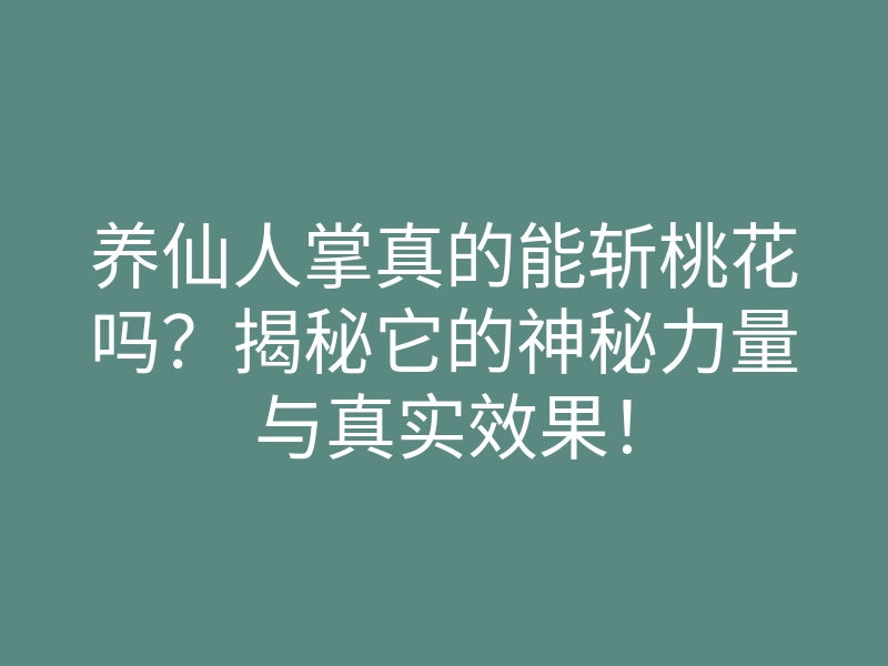 养仙人掌真的能斩桃花吗?揭秘它的神秘力量与真实效果!