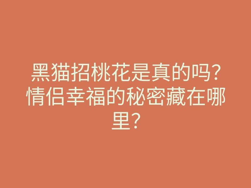 黑猫招桃花是真的吗?情侣幸福的秘密藏在哪里?