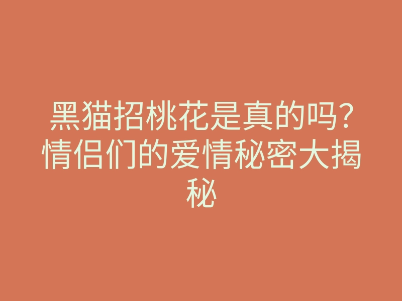 黑猫招桃花是真的吗?情侣们的爱情秘密大揭秘