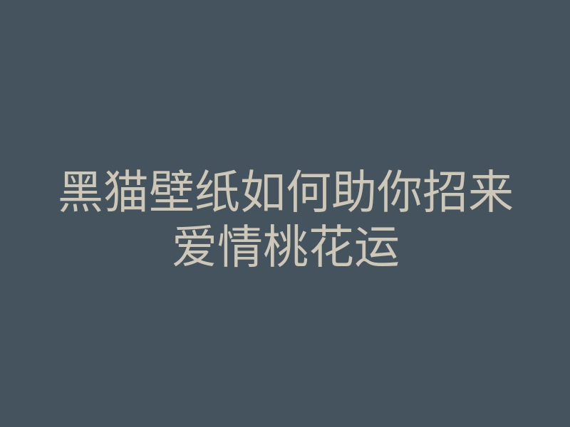 黑猫壁纸如何助你招来爱情桃花运