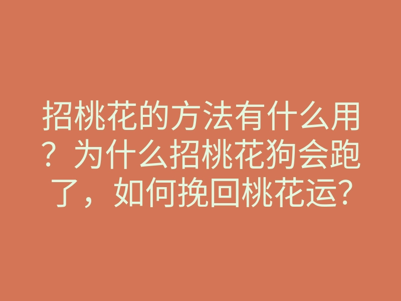 招桃花的方法有什么用？为什么招桃花狗会跑了，如何挽回桃花运？