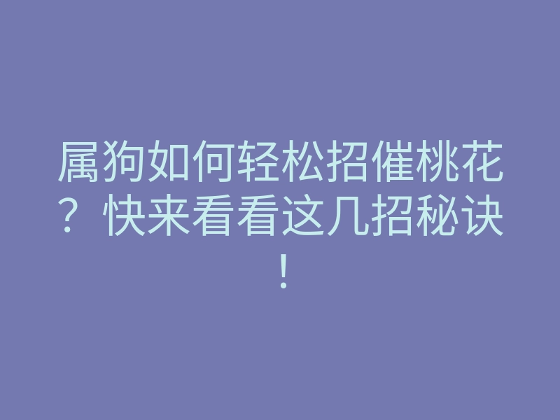 属狗如何轻松招催桃花?快来看看这几招秘诀!