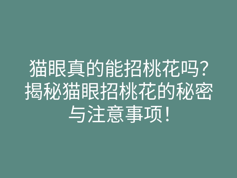 猫眼真的能招桃花吗?揭秘猫眼招桃花的秘密与注意事项!