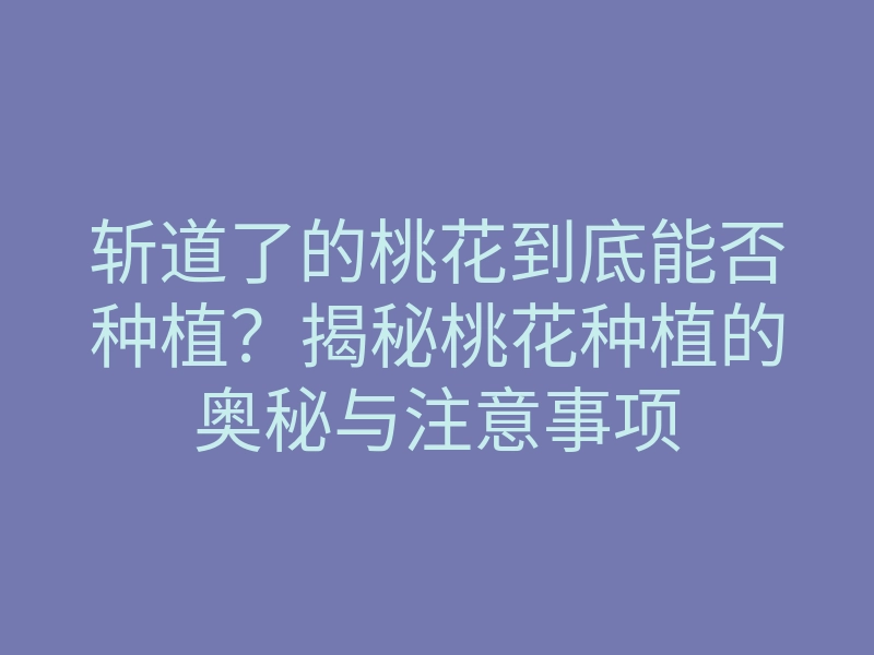 斩道了的桃花到底能否种植?揭秘桃花种植的奥秘与注意事项