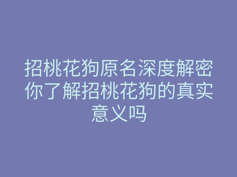 招桃花狗原名深度解密你了解招桃花狗的真实意义吗