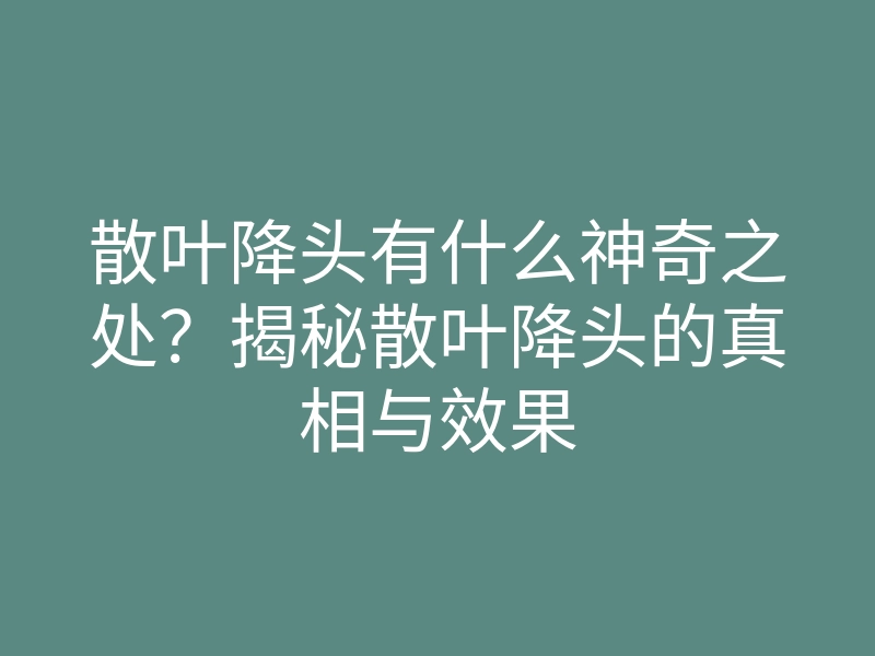 散叶降头有什么神奇之处?揭秘散叶降头的真相与效果