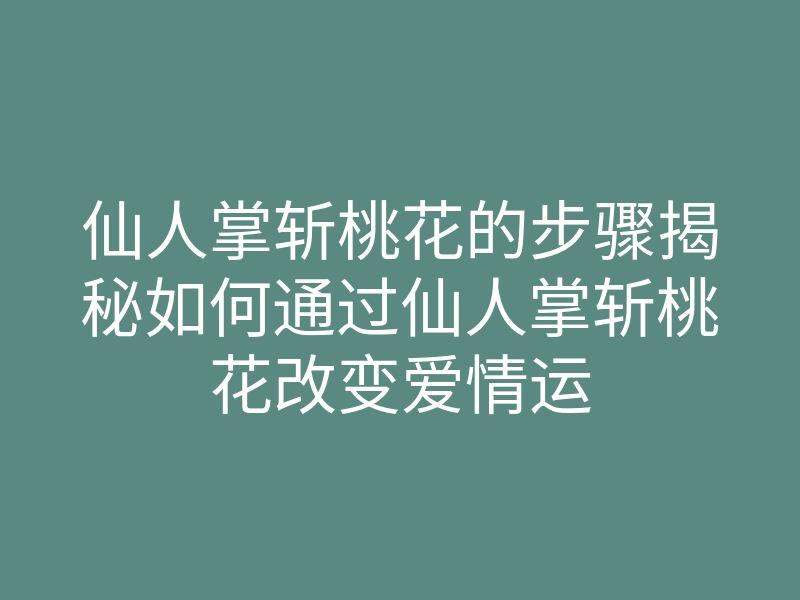 仙人掌斩桃花的步骤揭秘如何通过仙人掌斩桃花改变爱情运