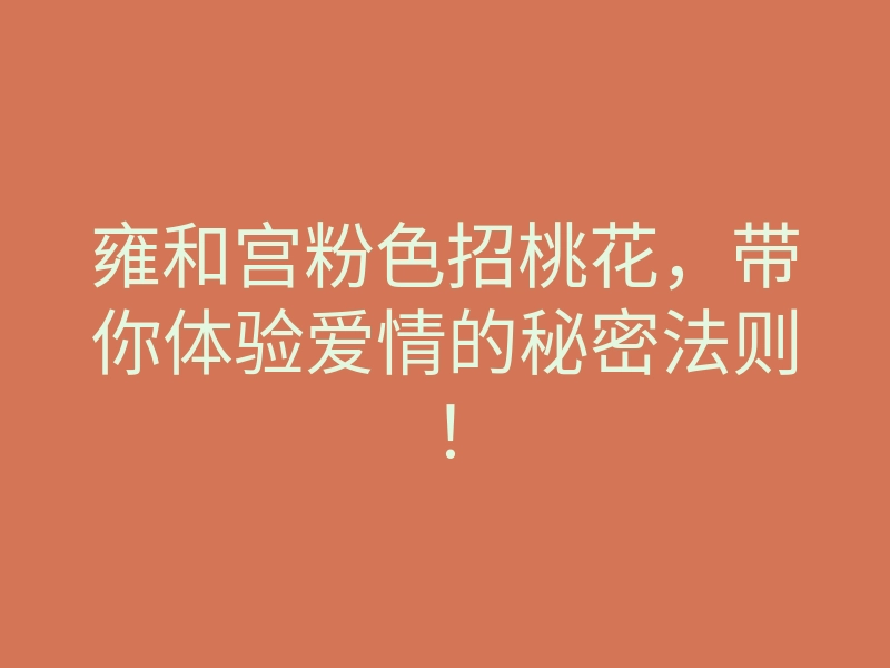 雍和宫粉色招桃花,带你体验爱情的秘密法则!