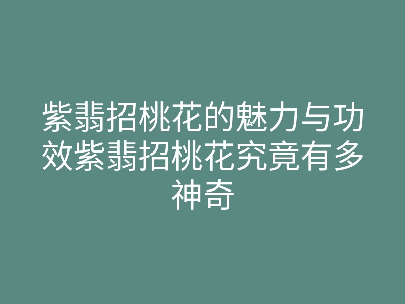 紫翡招桃花的魅力与功效紫翡招桃花究竟有多神奇