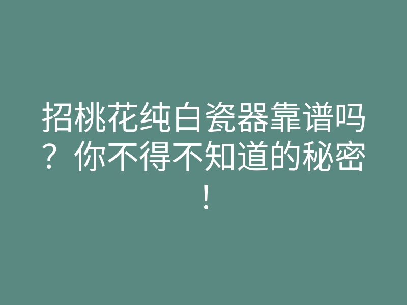 招桃花纯白瓷器靠谱吗?你不得不知道的秘密!