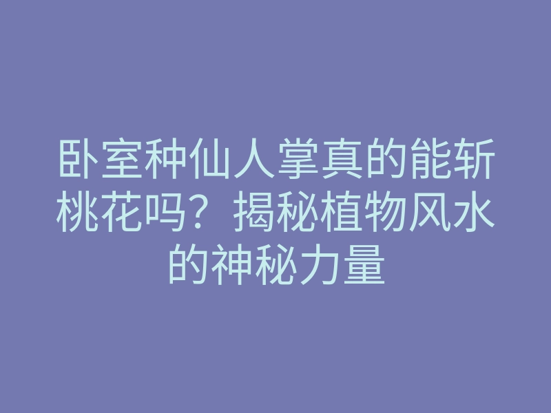 卧室种仙人掌真的能斩桃花吗?揭秘植物风水的神秘力量