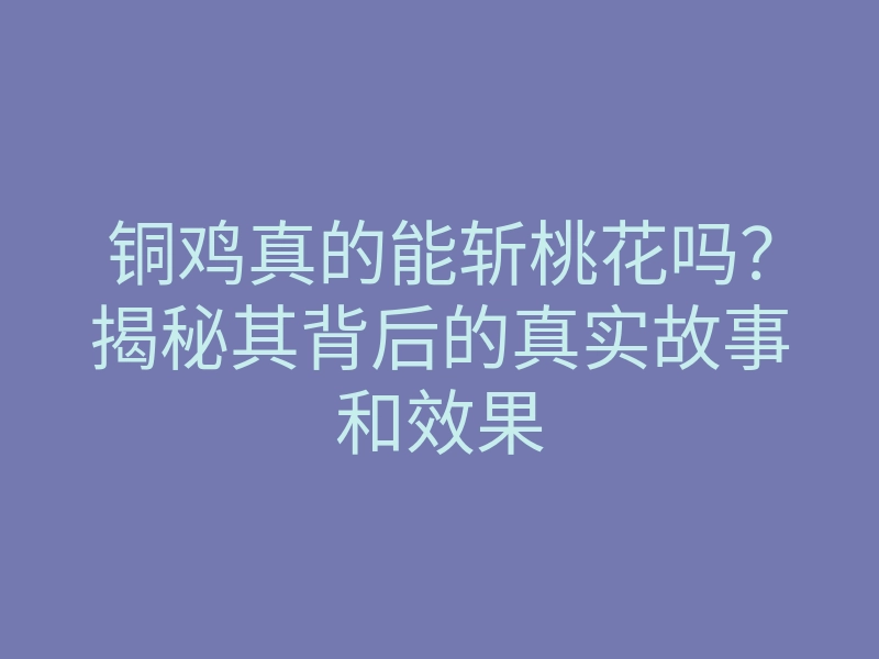 铜鸡真的能斩桃花吗?揭秘其背后的真实故事和效果