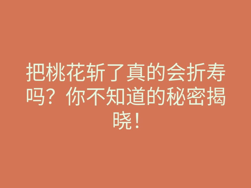 把桃花斩了真的会折寿吗?你不知道的秘密揭晓!