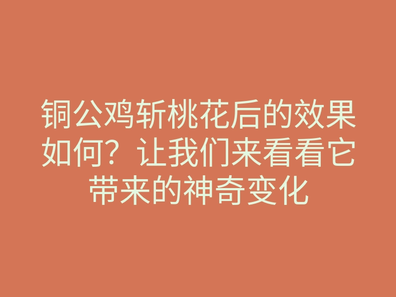铜公鸡斩桃花后的效果如何?让我们来看看它带来的神奇变化