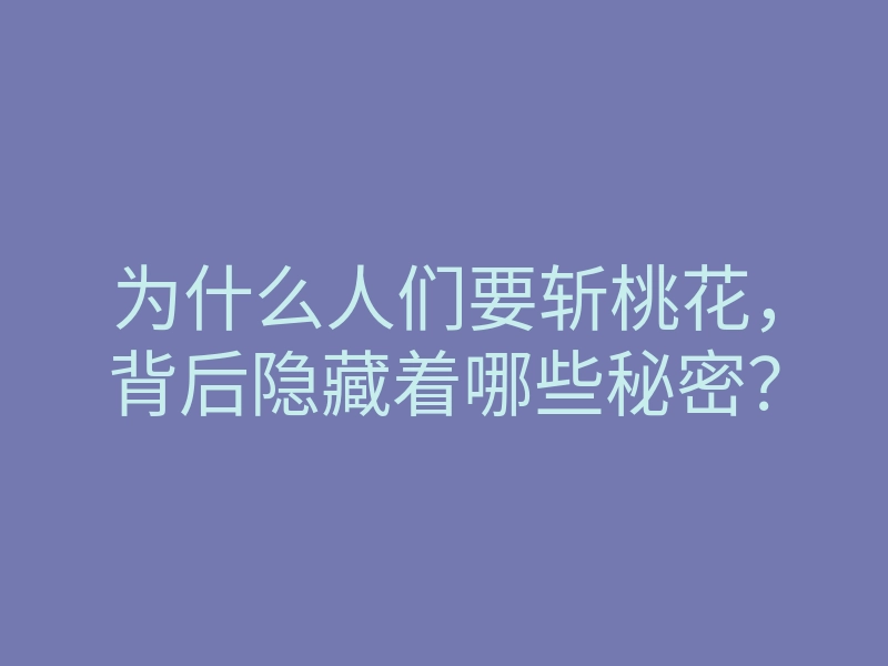 为什么人们要斩桃花,背后隐藏着哪些秘密?