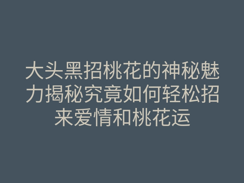 大头黑招桃花的神秘魅力揭秘究竟如何轻松招来爱情和桃花运