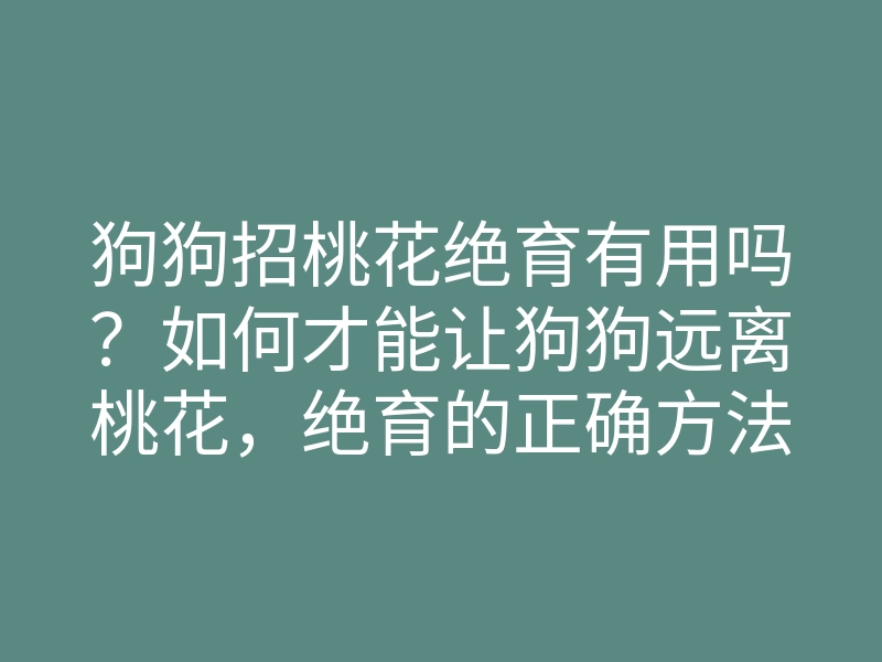 狗狗招桃花绝育有用吗?如何才能让狗狗远离桃花,绝育的正确方法