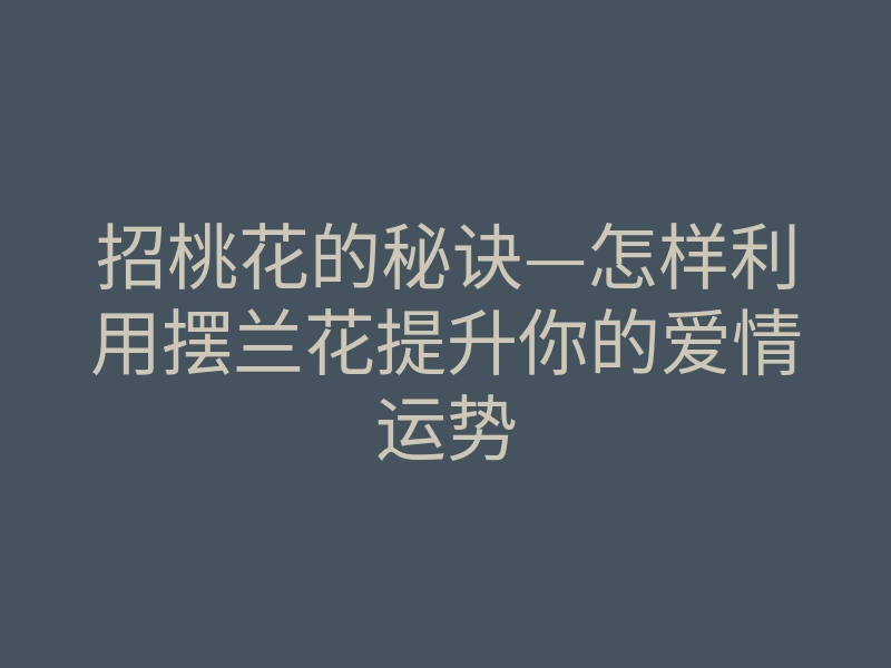 招桃花的秘诀—怎样利用摆兰花提升你的爱情运势